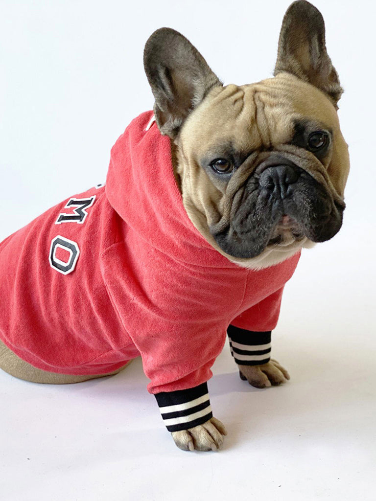 Varsity dog College Hoodie Cool Berry | Letsgizmo