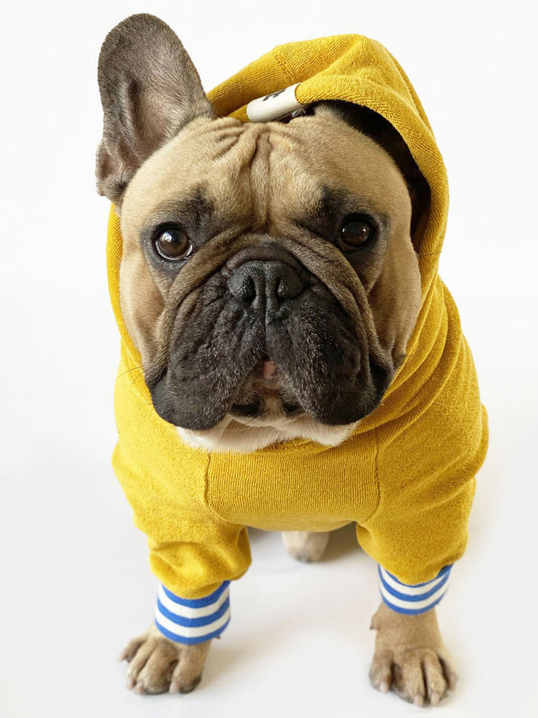 Organic cotton dog hoodie Honey Mustard | Letsgizmo