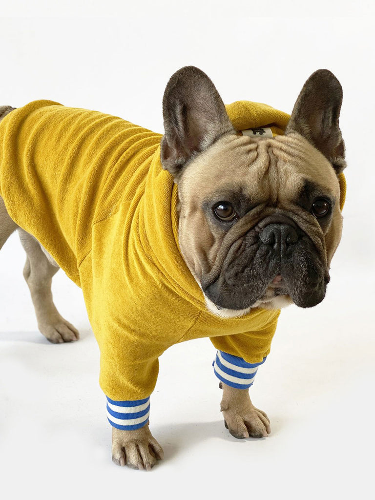 Sustainable dog hoodie swissmade Honey Mustard | Letsgizmo